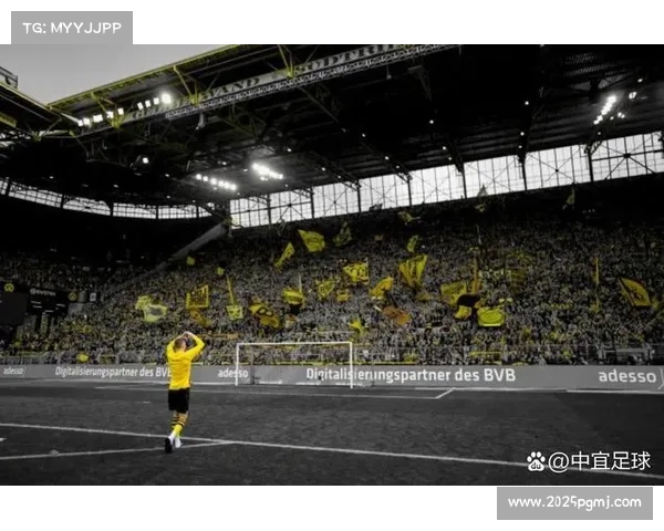多特蒙德以南看台巨幅横幅深情致敬罗伊斯辉煌生涯退役时刻