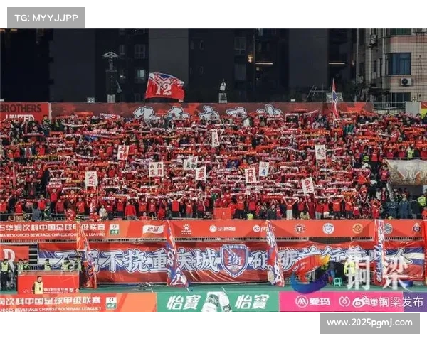 重庆铜梁龙青年军蓄势待发，外援引进成保级关键因素